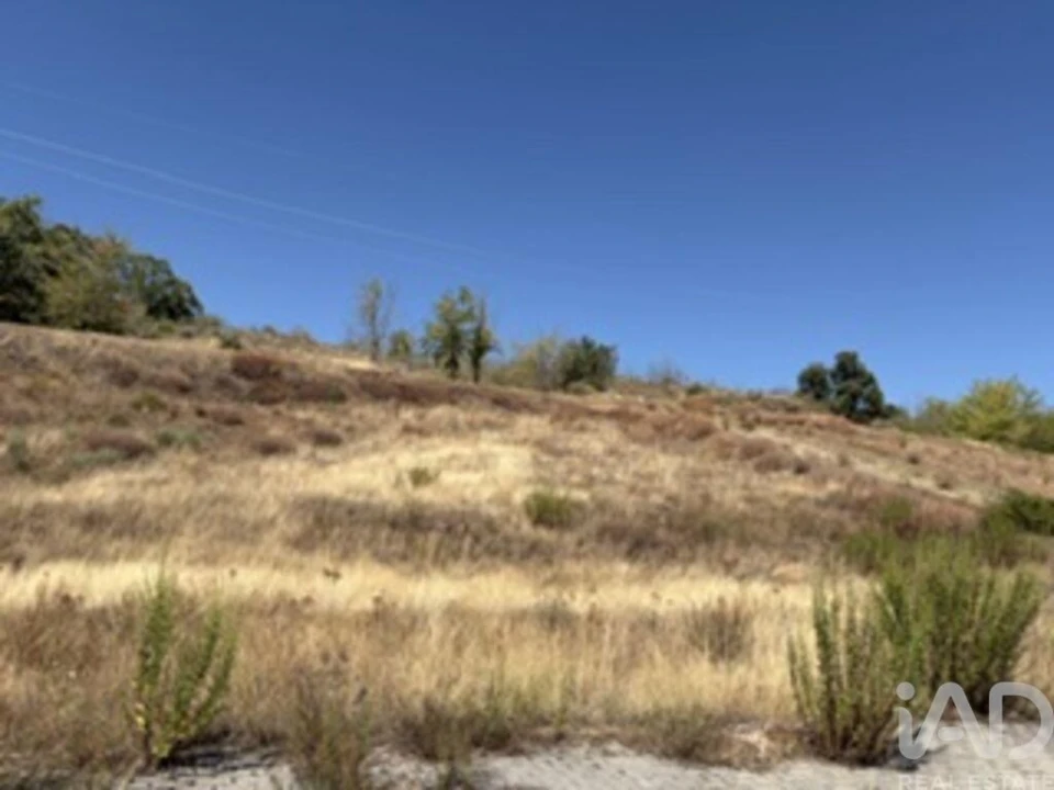 Terreno para Venda em Rebordãos Foto 29