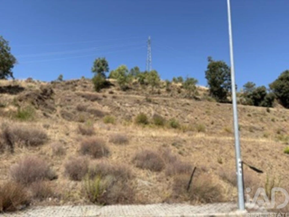 Terreno para Venda em Rebordãos Foto 8