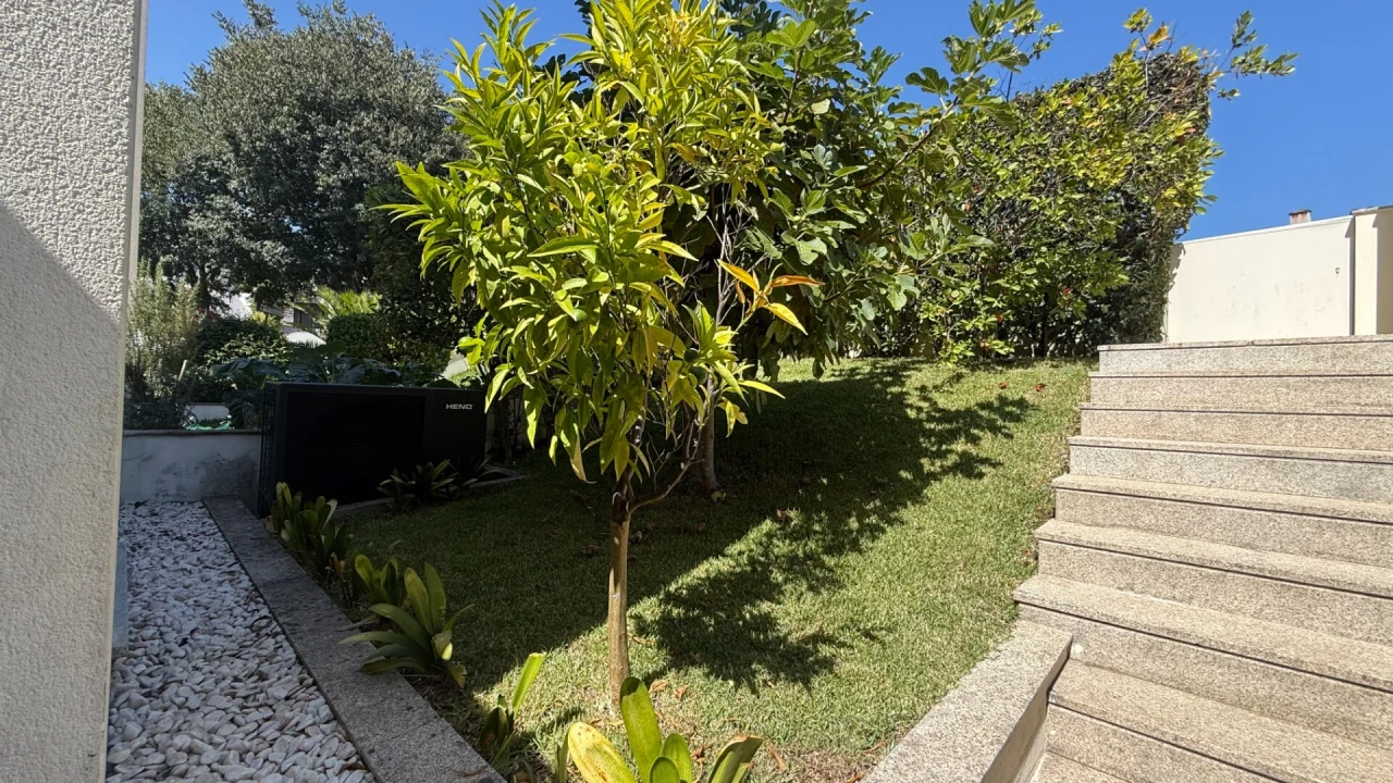 Moradia T3 para Venda em Mesão Frio Foto 3