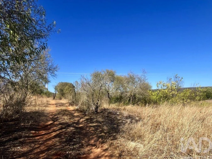 Quinta T4 para Venda em Bensafrim e Barão de São João Foto 29