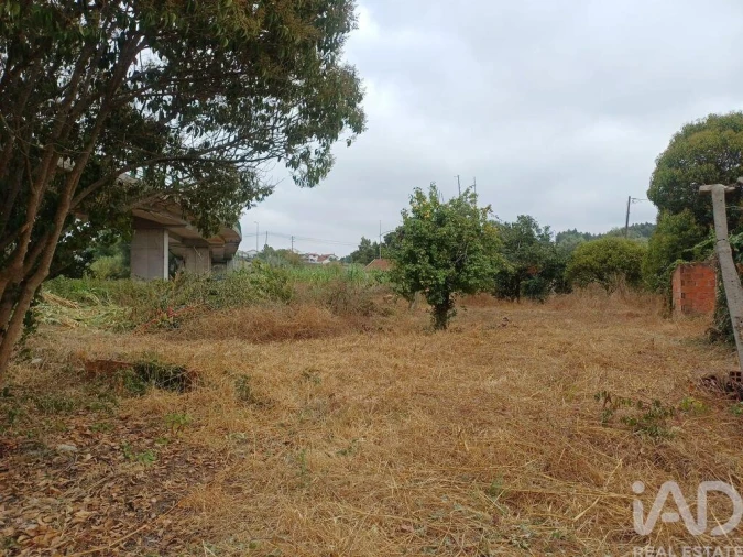 Moradia T8 para Venda em São Martinho de Árvore e Lamarosa Foto 22