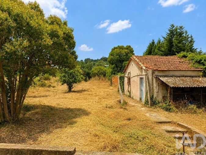 Moradia T8 para Venda em São Martinho de Árvore e Lamarosa Foto 6