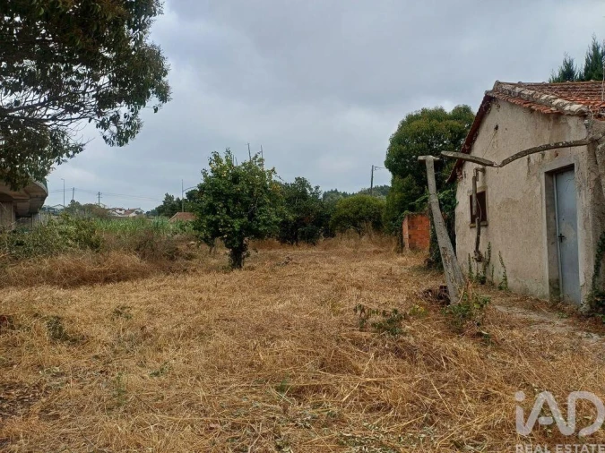 Moradia T8 para Venda em São Martinho de Árvore e Lamarosa Foto 23