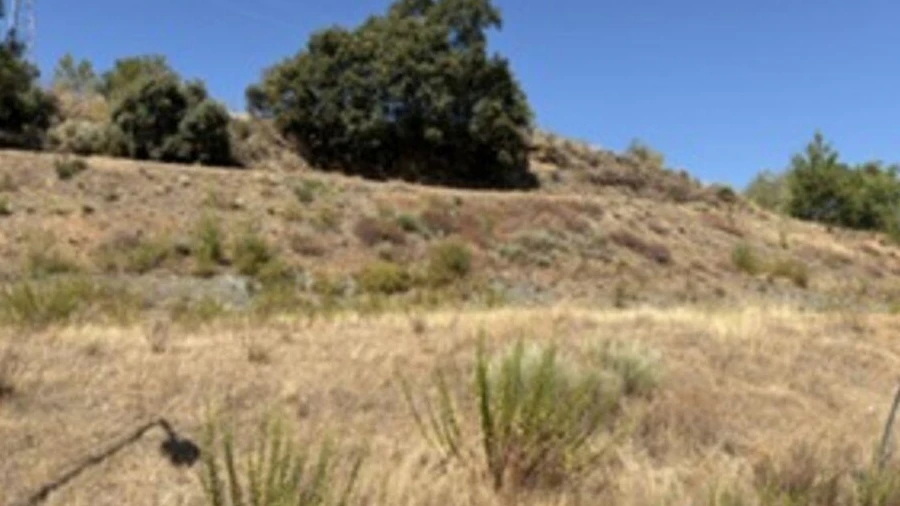 Terreno para Venda em Rebordãos