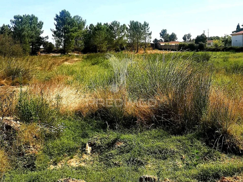 Terreno para Venda em Poceirão e Marateca Foto 1