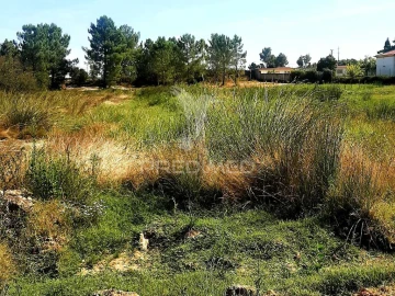 Terreno para Venda em Poceirão e Marateca