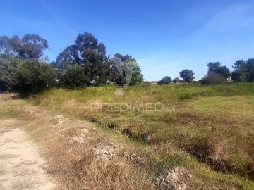 Terreno para Venda em Poceirão e Marateca