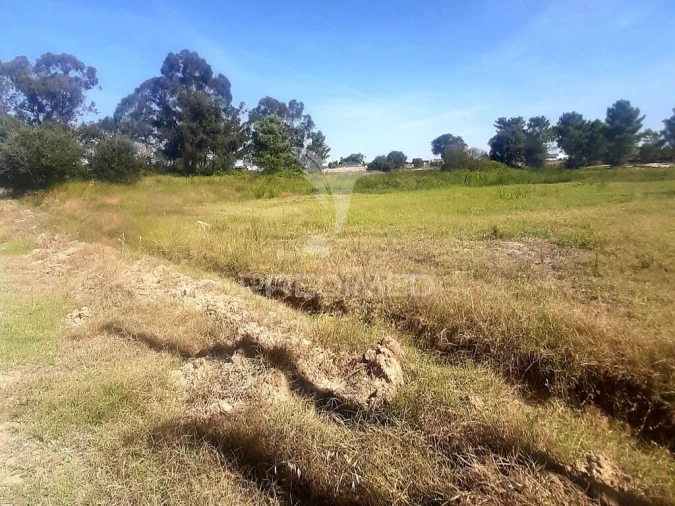 Terreno para Venda em Poceirão e Marateca Foto 3