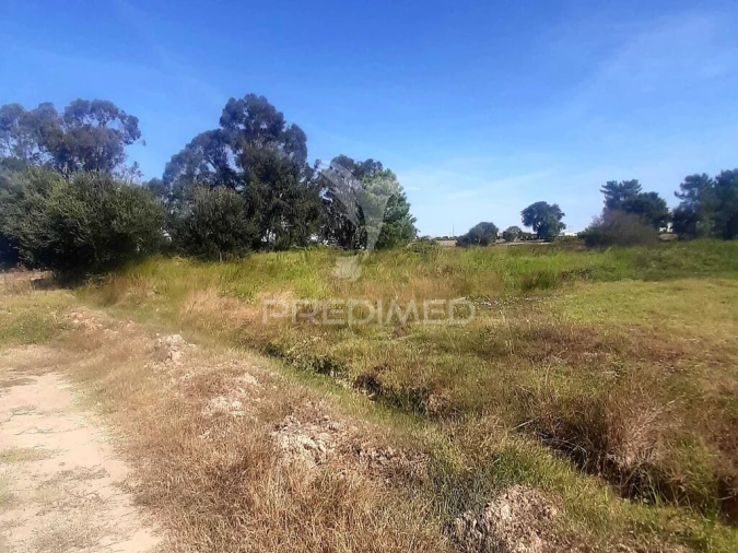 Terreno para Venda em Poceirão e Marateca Foto 5