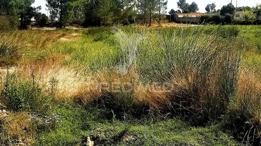 Terreno para Venda em Poceirão e Marateca