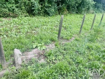 Terreno para Venda em Loivo