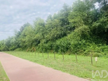 Terreno para Venda em Loivo
