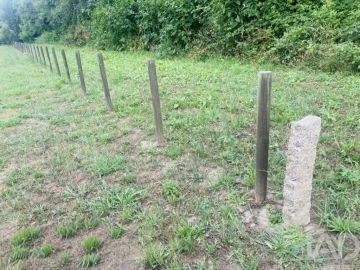 Terreno para Venda em Loivo