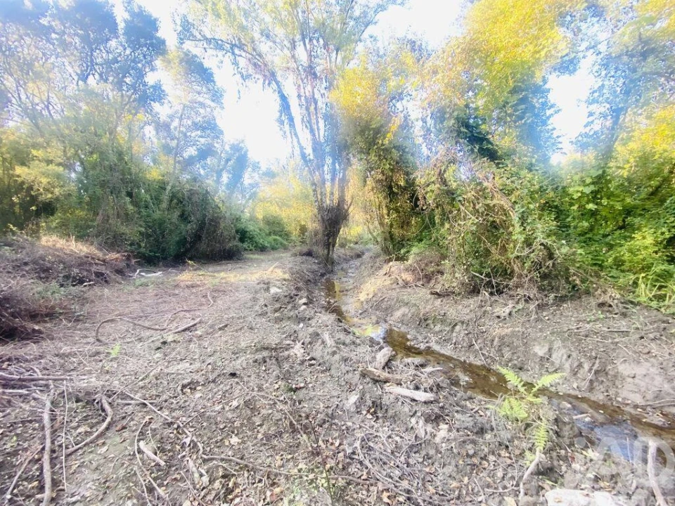 Terreno para Venda em Loivo Foto 14
