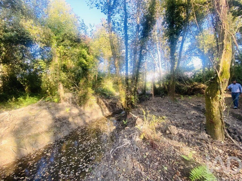 Terreno para Venda em Loivo Foto 13