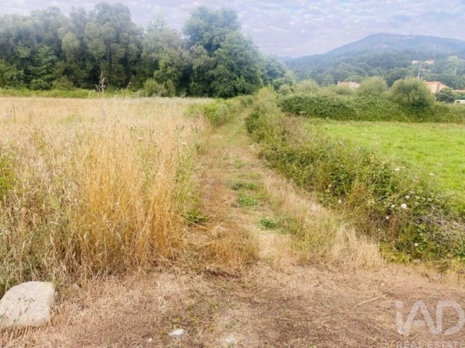 Terreno para Venda em Loivo Foto 11