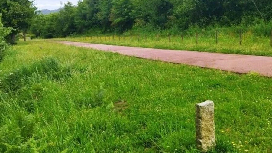 Terreno para Venda em Loivo