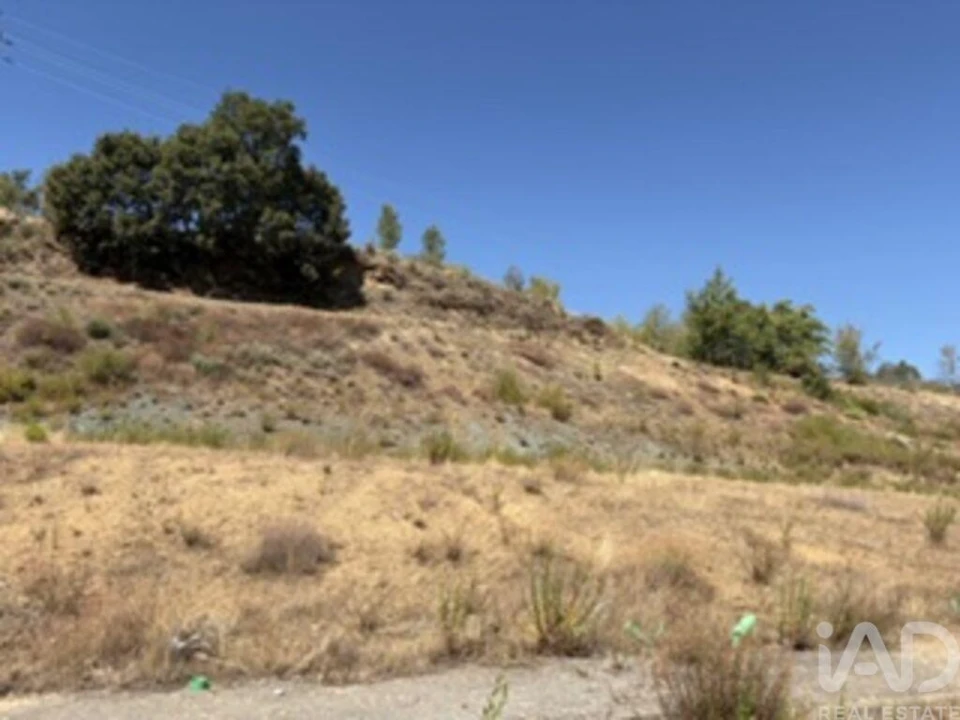 Terreno para Venda em Rebordãos Foto 7