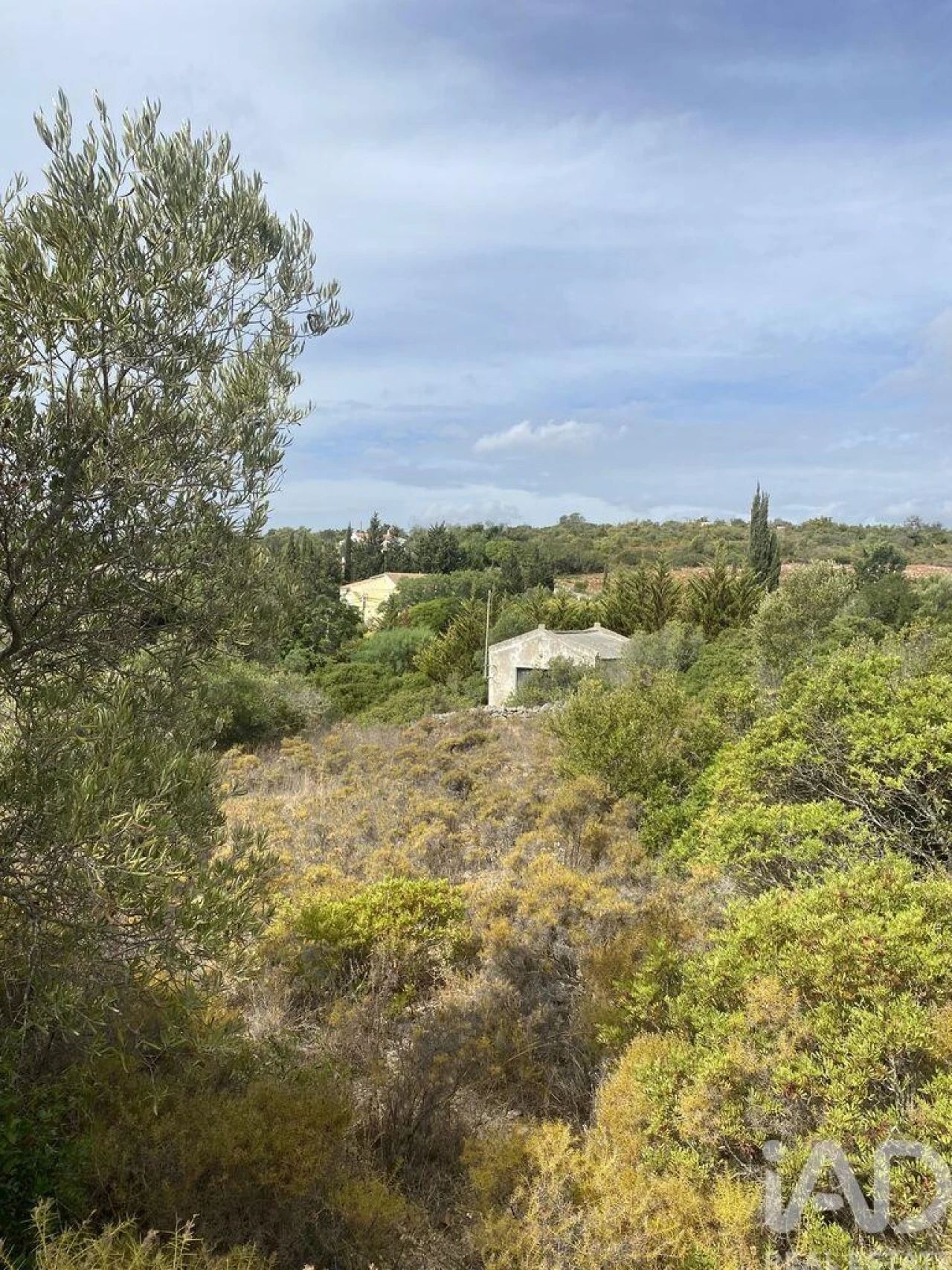 Terreno para Venda em Santa Barbara de Nexe Foto 2