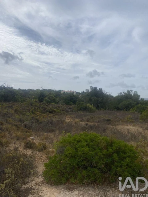 Terreno para Venda em Santa Barbara de Nexe
