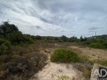 Terreno para Venda em Santa Barbara de Nexe