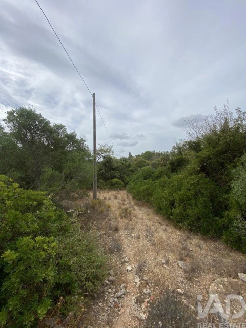 Terreno para Venda em Santa Barbara de Nexe