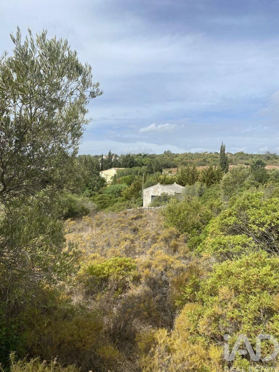 Terreno para Venda em Santa Barbara de Nexe Foto 2