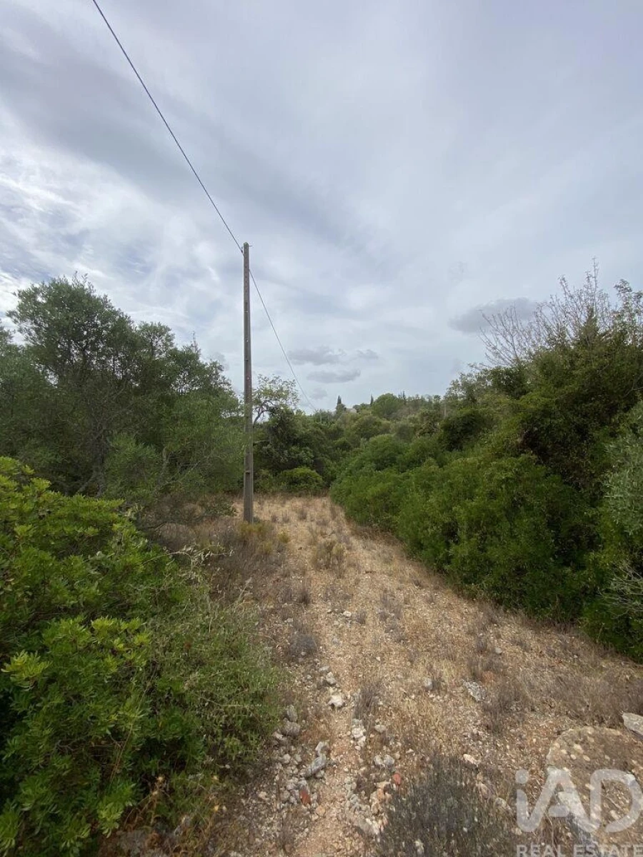 Terreno para Venda em Santa Barbara de Nexe Foto 15