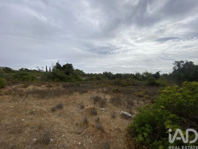 Terreno para Venda em Santa Barbara de Nexe Foto 14