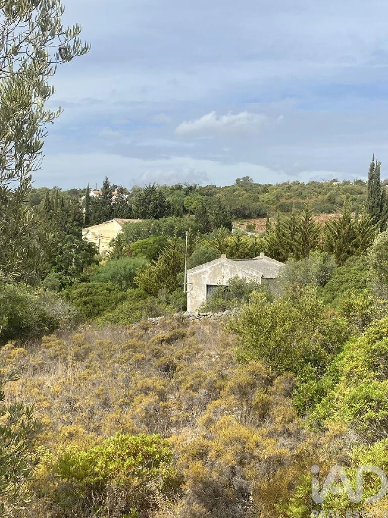 Terreno para Venda em Santa Barbara de Nexe Foto 4