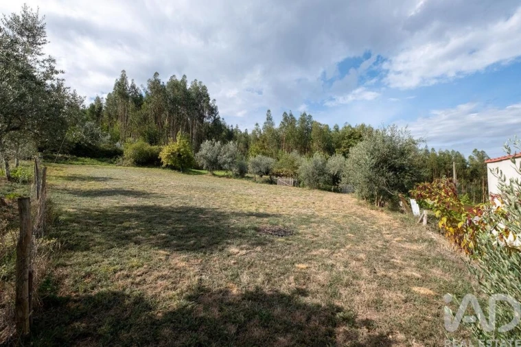 Moradia T1 para Venda em Pombeiro da Beira Foto 31