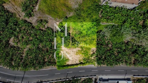 Terreno para Venda em Ponta do Sol
