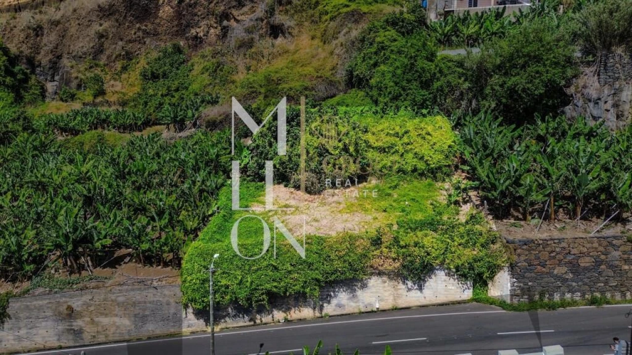 Terreno para Venda em Ponta do Sol Foto 4