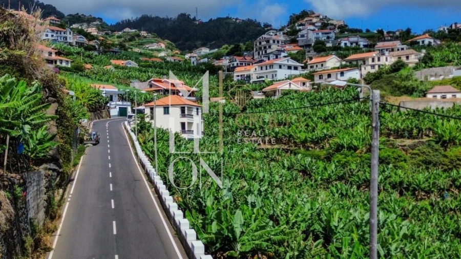 Terreno para Venda em Ponta do Sol Foto 10
