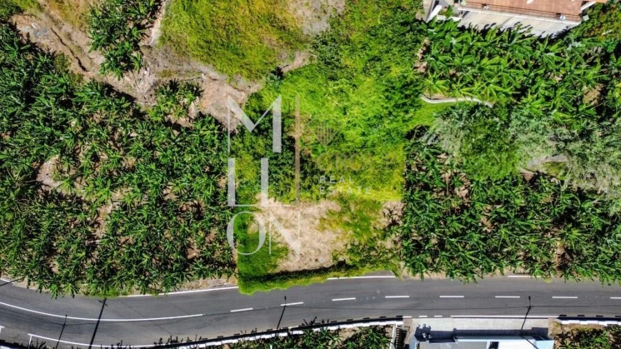 Terreno para Venda em Ponta do Sol Foto 5