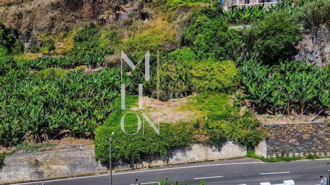 Terreno para Venda em Ponta do Sol Foto 3