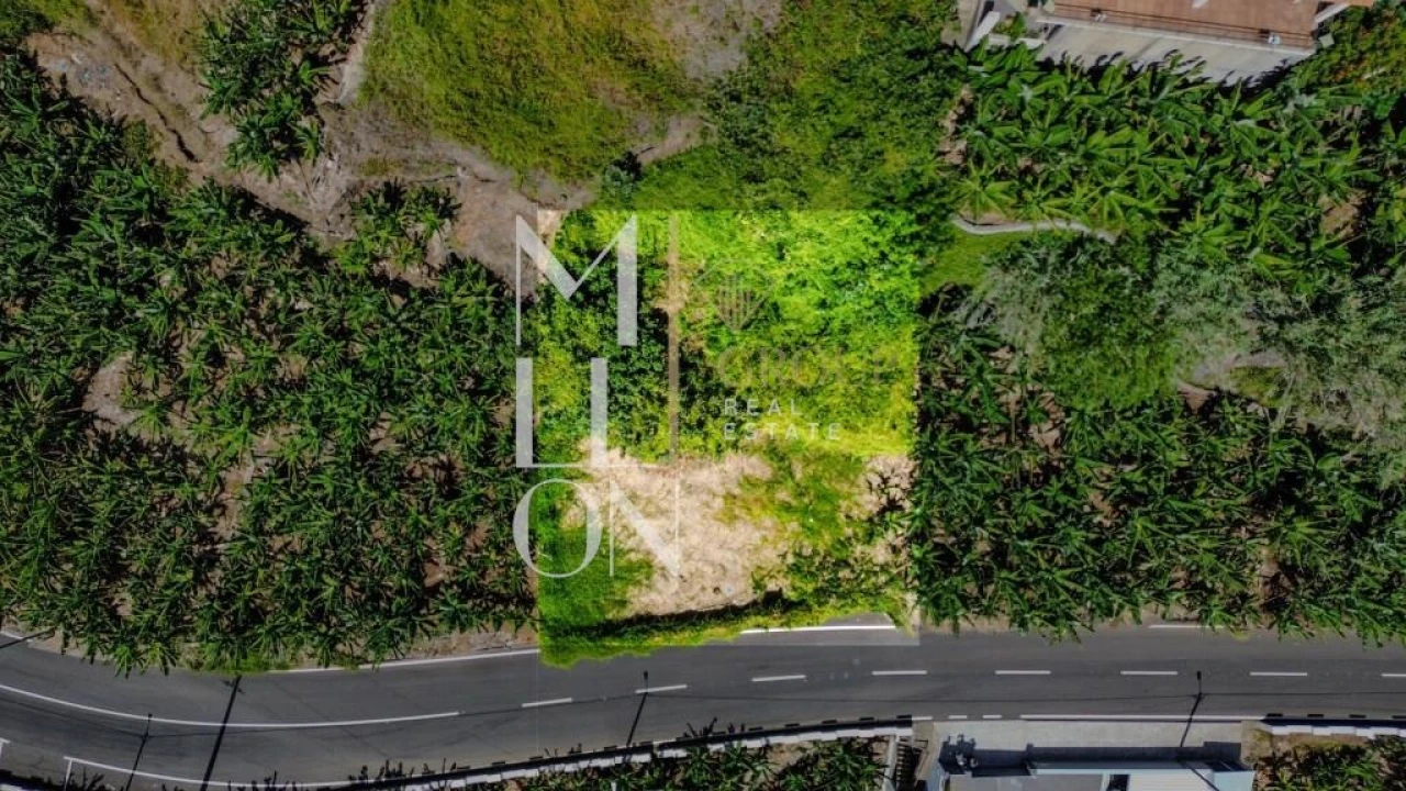 Terreno para Venda em Ponta do Sol Foto 2