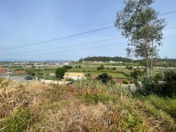 Terreno para Venda em São Martinho de Árvore e Lamarosa