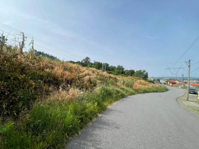 Terreno para Venda em São Martinho de Árvore e Lamarosa Foto 3