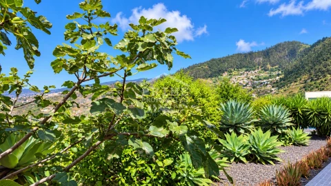 Moradia para Venda em Arco da Calheta