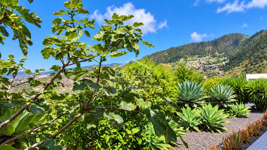 Moradia para Venda em Arco da Calheta Foto 59
