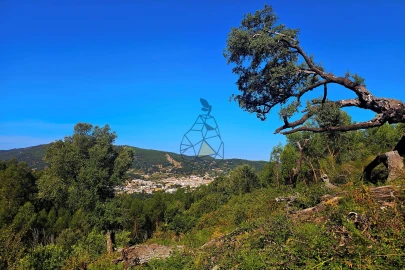 Moradia T2 para Venda em Monchique