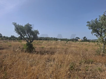 Terreno para Venda em Lagos (São Sebastião e Santa Maria)