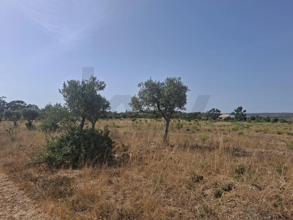 Terreno para Venda em Lagos (São Sebastião e Santa Maria) Foto 7