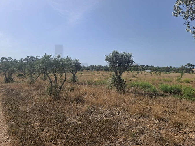 Terreno para Venda em Lagos (São Sebastião e Santa Maria) Foto 8