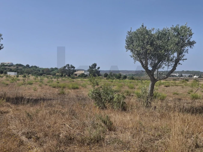 Terreno para Venda em Lagos (São Sebastião e Santa Maria) Foto 4