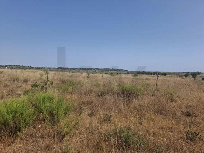 Terreno para Venda em Lagos (São Sebastião e Santa Maria) Foto 11