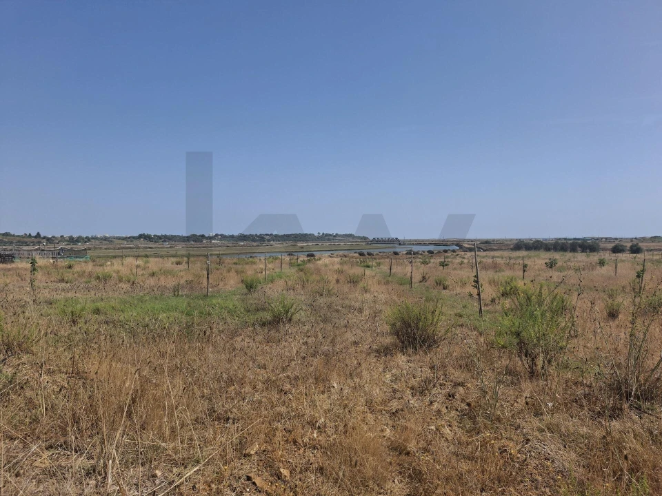 Terreno para Venda em Lagos (São Sebastião e Santa Maria) Foto 5