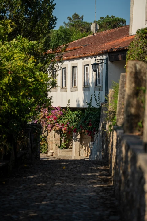 Quinta T8 para Venda em Manhente