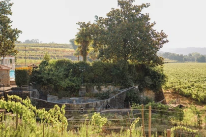 Quinta T8 para Venda em Manhente
